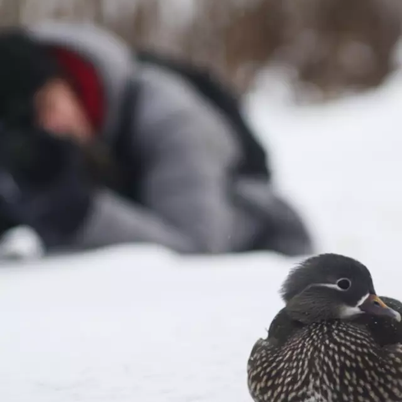 À la recherche d’une petite amie à rencontrer, Moscou,  Russie