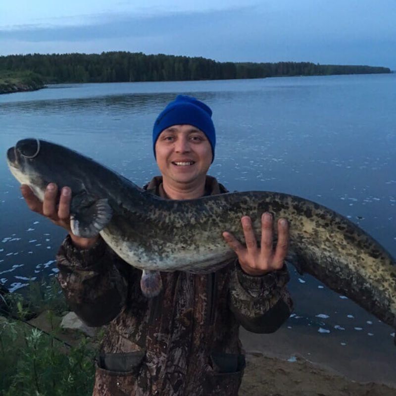 À la recherche d’une petite amie à rencontrer, Ekaterinbourg,  Russie