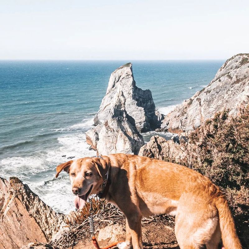 Auf der Suche nach einer Freundin zu treffen, Lissabon,  Portugal kennen 