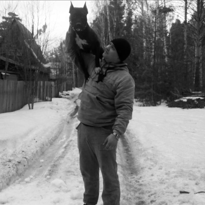 À la recherche d’une petite amie à rencontrer, Krasnoïarsk,  Russie