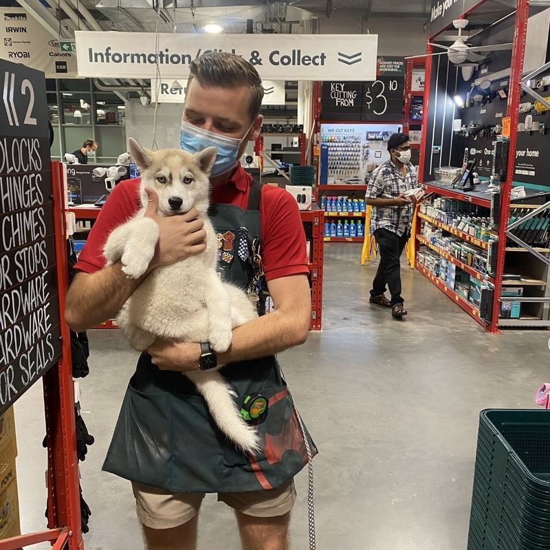 À la recherche d’une petite amie à rencontrer, Melbourne,  Australie