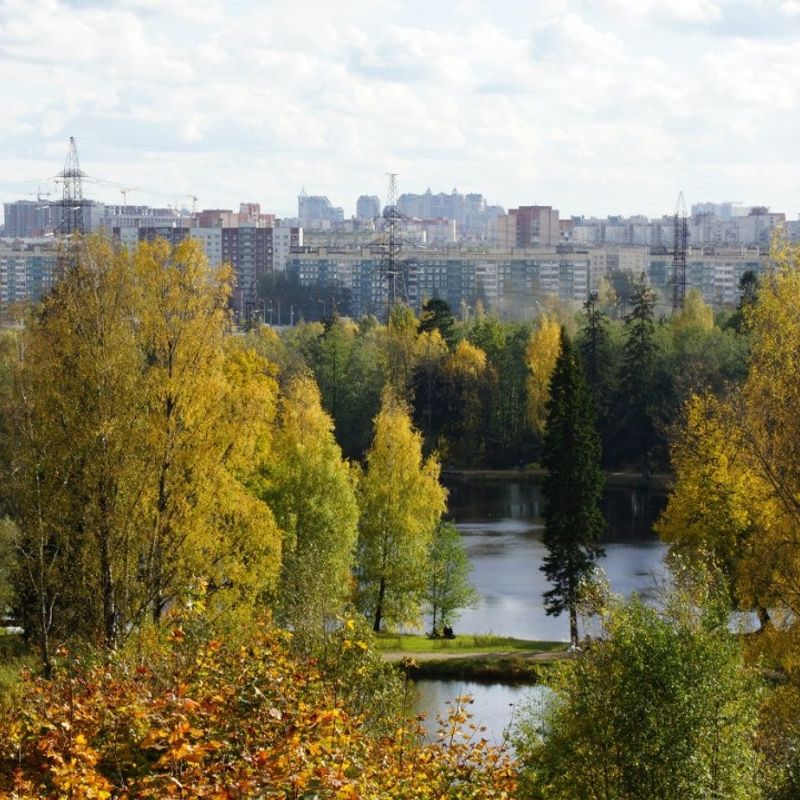 À la recherche d’une petite amie à rencontrer, Saint-Pétersbourg,  Russie