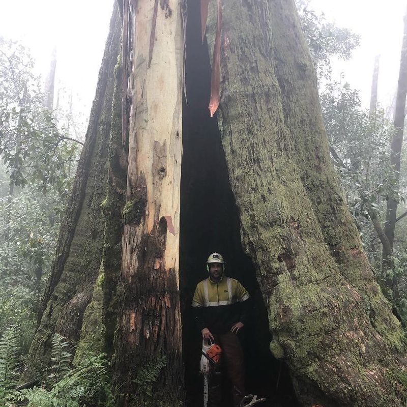 Auf der Suche nach einer Freundin zu treffen, Melbourne,  Australien kennen 