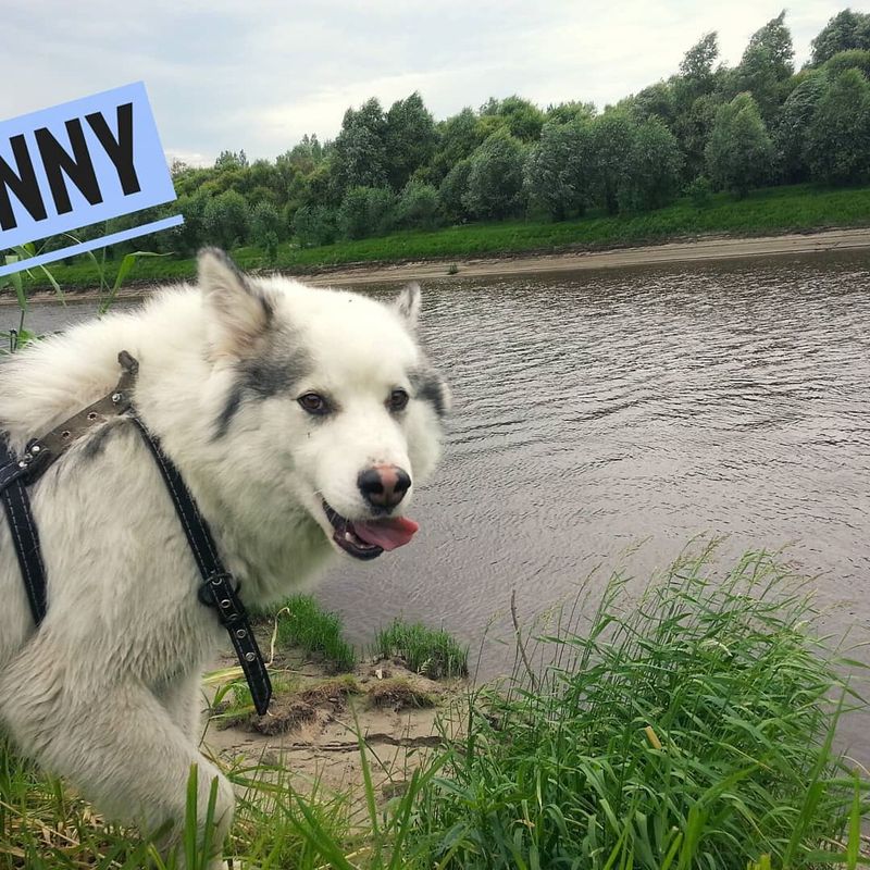 À la recherche d’une petite amie à rencontrer, Tyumen,  Russie