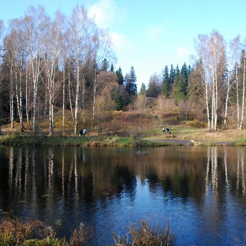 Auf der Suche nach einer Freundin zu treffen, Sankt Petersburg,  Russland kennen 