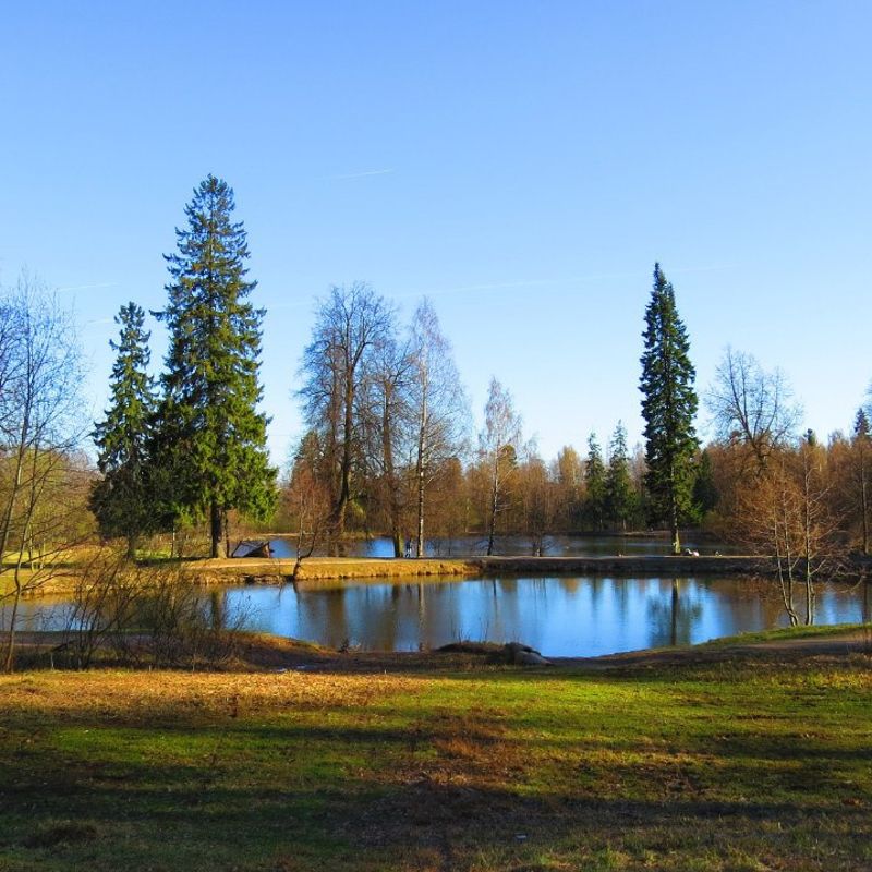 Auf der Suche nach einer Freundin zu treffen, Sankt Petersburg,  Russland kennen 