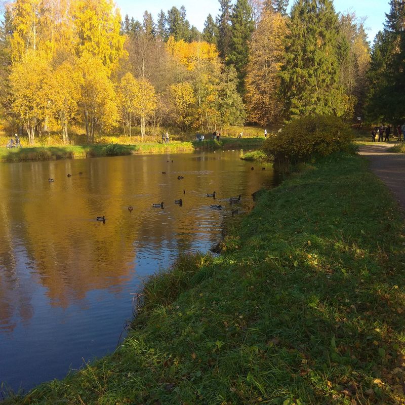 Buscando una novia para conocer, San Petesburgo,  Rusia 