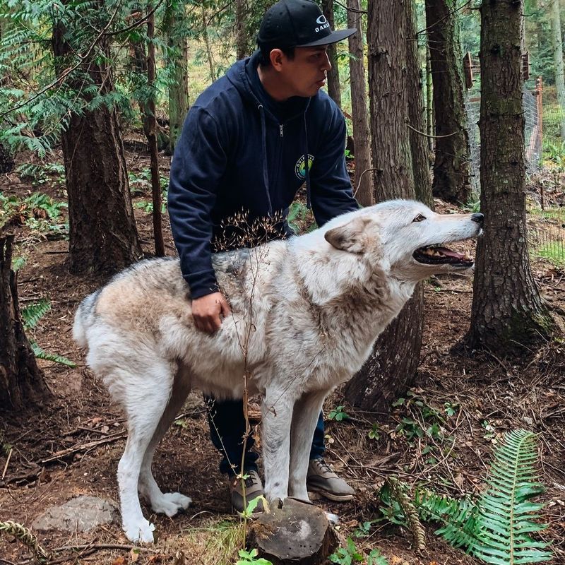 À la recherche d’une petite amie à rencontrer, Moscou,  Russie