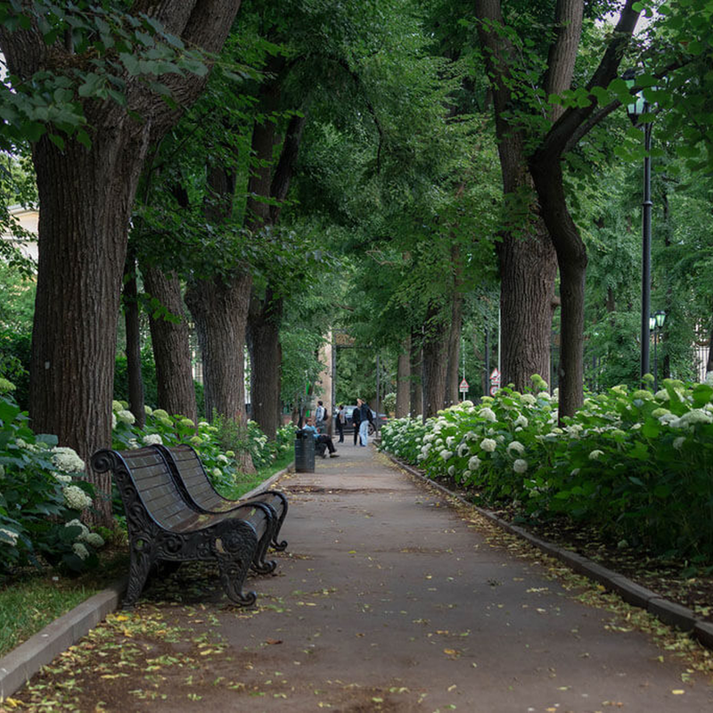 Москва места для прогулок