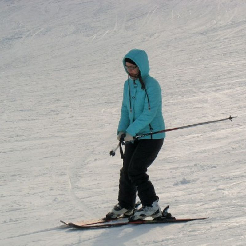 Ищу кого-нибудь для катания на лыжах, Россия на 10 дней.