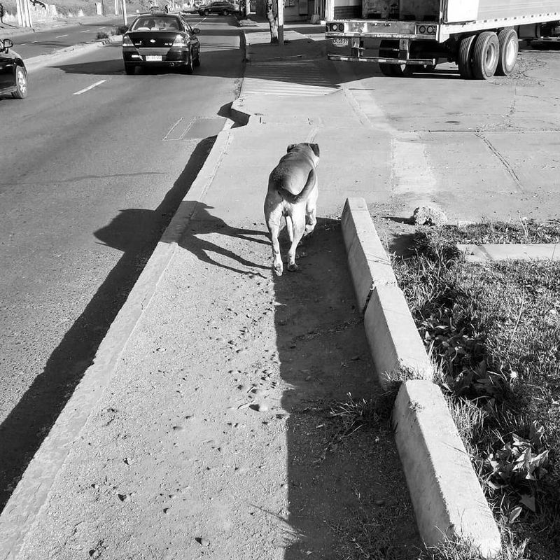 À la recherche d’une petite amie à rencontrer, San Antonio,  États-Unis