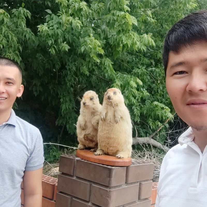 Auf der Suche nach einer Freundin zu treffen, Набережные Челны, Россия