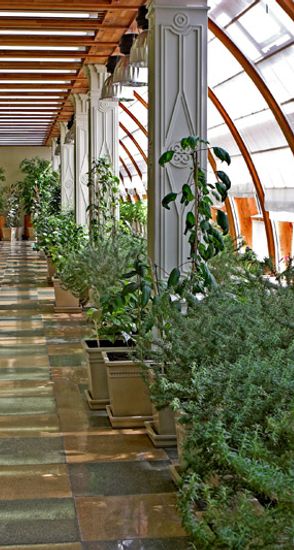 Постоянная экспозиция растений в особняке Царицыно