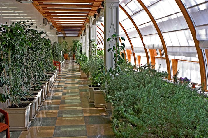 Постоянная экспозиция растений в особняке Царицыно